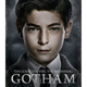 Illustration for article titled New emGotham/em Posters Are Great Except For Poison Ivys Terrible New Name